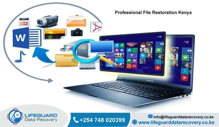 Professional File Restoration Kenya