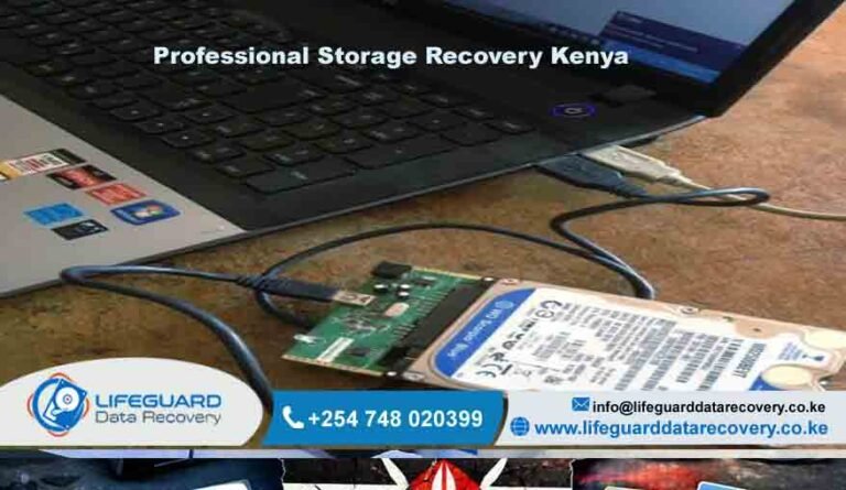 Professional-Storage-Recovey kenya
