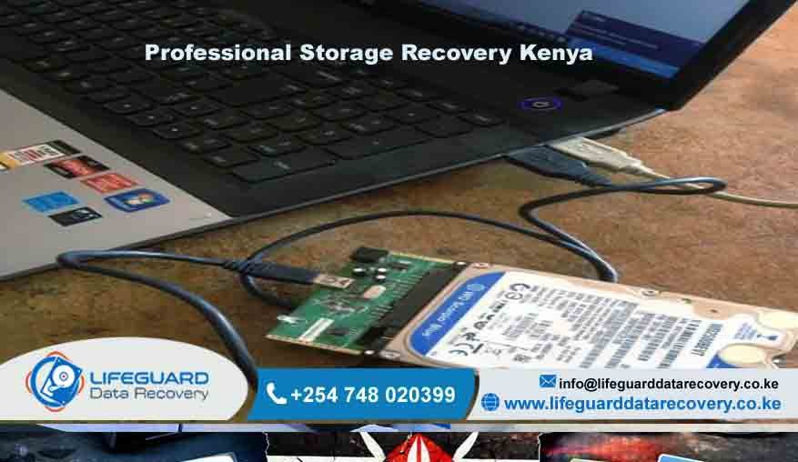 Professional-Storage-Recovey kenya